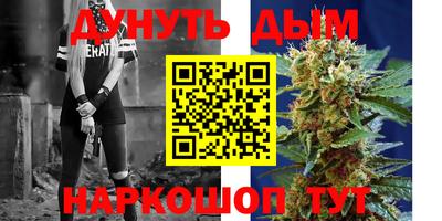 apvp Камышлов