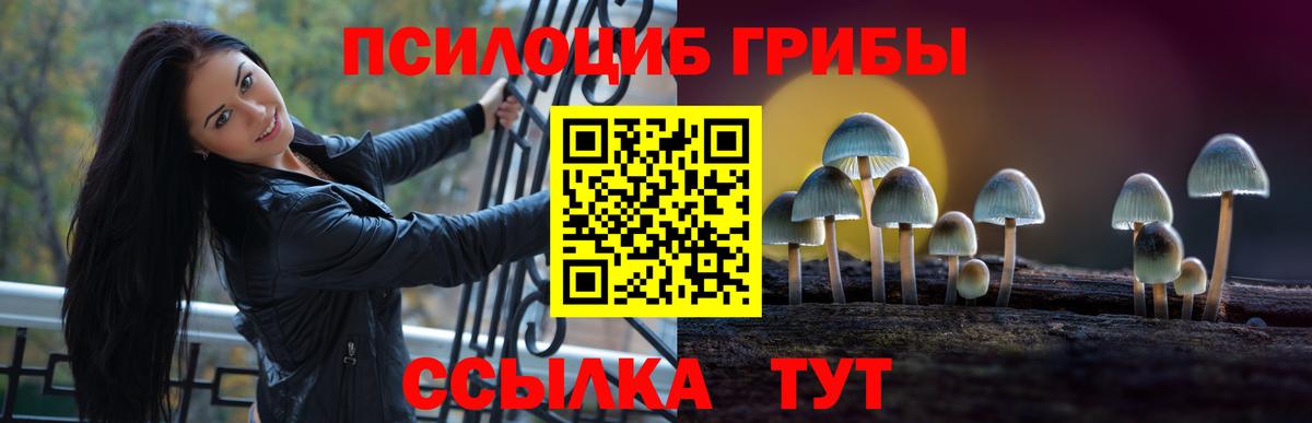 Галлюциногенные грибы MAGIC MUSHROOMS  Вход с VPN  Курск 